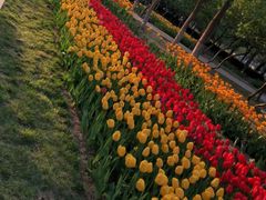 -石家庄市植物园