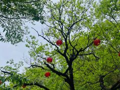 -天津盘山风景名胜区
