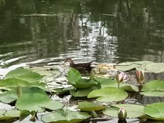 -前关湿地公园