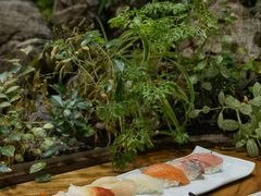 -森味薪火烧•烧鸟居酒屋•日本料理(望京店)