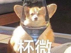 -故遥酒馆.赛事直播