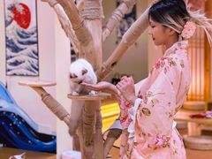 -猫にゃん · 猫的隐藏屋猫咖(麦地旗舰店)