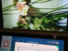 -环游嘉年华(广州-天河城店)