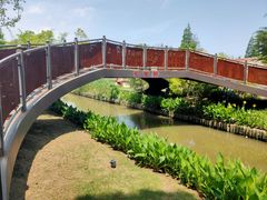 -上海长兴岛郊野公园