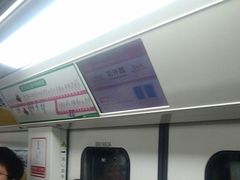 -大龙山(地铁站)