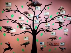 -酷嗒动物文化乐园(cutezoo西溪乐天城店)