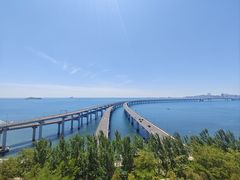 -星海湾跨海大桥