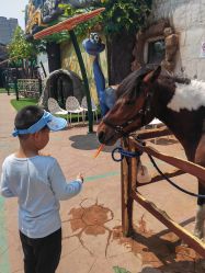 -宝燕乐园(闵行旗舰店)