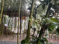 -观唐（国际）度假村温泉