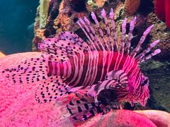 -沈阳海洋探索中心