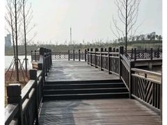-九龙湖公园