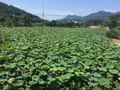 -韶山毛泽东同志故居