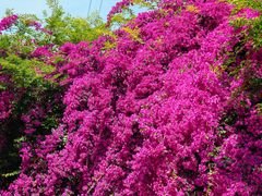 -云南师范大学(一二一西南联大校区)