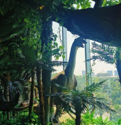 -恐龙探索乐园(磁器口店)