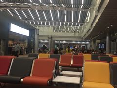 -西沃古尔·拉姆古兰爵士国际机场