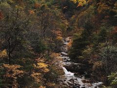-青峰峡国家森林公园