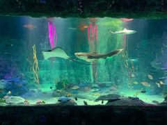 -沈阳海洋探索中心