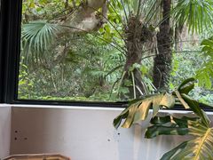 -毛辣果·酸(OHA复兴西路店)