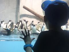 -大连圣亚海洋世界