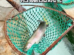 -钰田大院•怀柔本土菜(雁栖湖店)