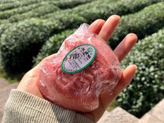 定胜糕-江南春(中山中路店)