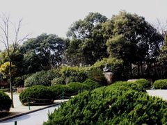 -徐家汇源景区-衡山公园