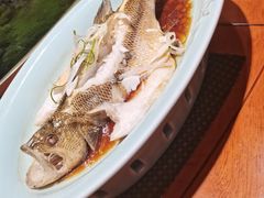 -王厚元饺子·辽菜(浑南店)