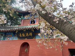 -洛阳白马寺