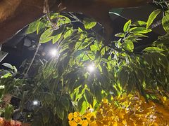 -城墙拐拐火锅(三峡广场黑金冠店)