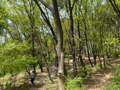 -萨尔浒风景区
