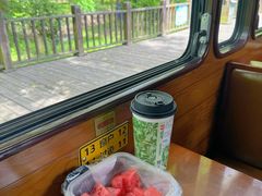 -合肥滨湖国家森林公园