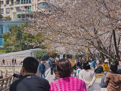-西北湖绿化广场