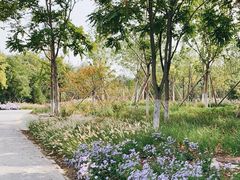 -永定河休闲森林公园