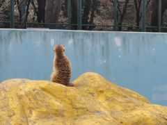 -无锡动物园·太湖欢乐园