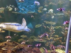 -华夏文旅海洋公园