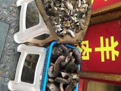 -乳仔牛牦牛汤锅 烤羊排(松潘古城店)