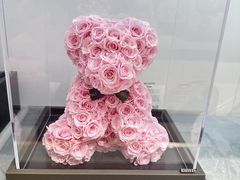 -ROSEONLY诺誓(广州K11店)