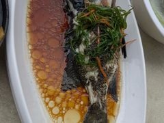 清蒸活海鱼-锐记美食店·现捞海鲜(闸坡店)