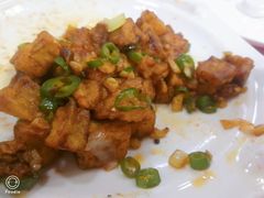 乐乐尖椒茄子丁-乐乐餐厅(湘子庙街店)