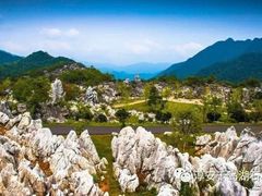 -千岛湖石林