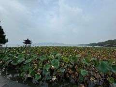 -西湖游船