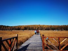 -塞罕坝国家级自然保护区