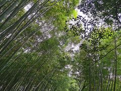 -西湖风景区十里琅珰-五云山