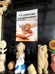 -文旺阁亲子手工DIY木作博物馆