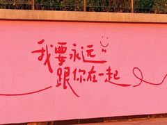 -金鸡湖景区