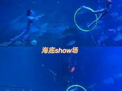 -烟台海昌鲸鲨海洋公园