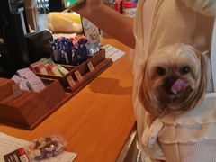 -星巴克(夏日百货店)