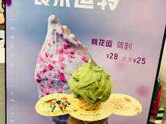 -野人先生现做冰淇淋(西安赛格店)