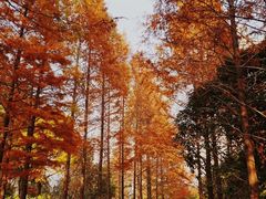 -苏州河梦清园环保主题公园