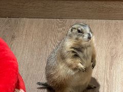 -有猫主题·治愈系猫咖(曾厝垵店)